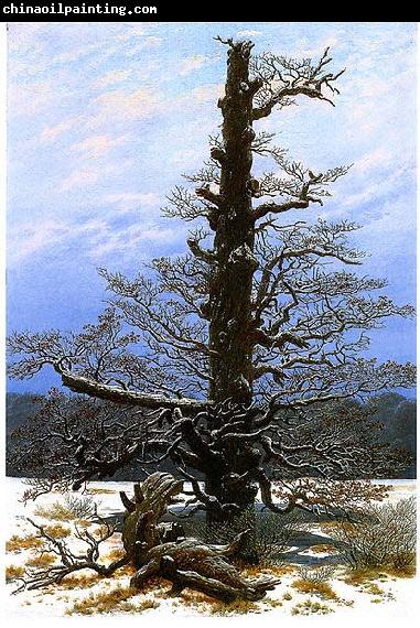 Caspar David Friedrich Oak Tree in the Snow