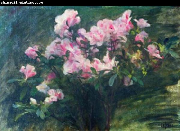 Charles-Amable Lenoir Study of Azaleas