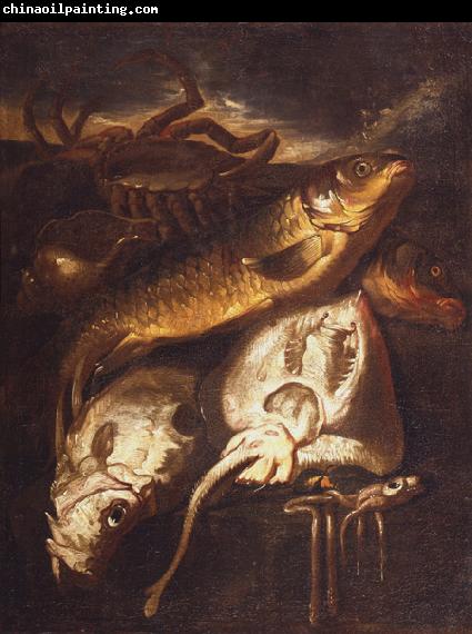 Giacomo Francesco Cipper Still life of fish and shellfish