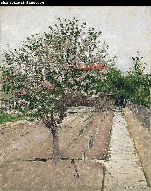 Gustave Caillebotte Apple Tree in Bloom