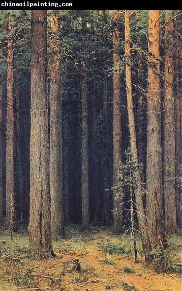 Ivan Shishkin Forest Reserve, Pine Grove