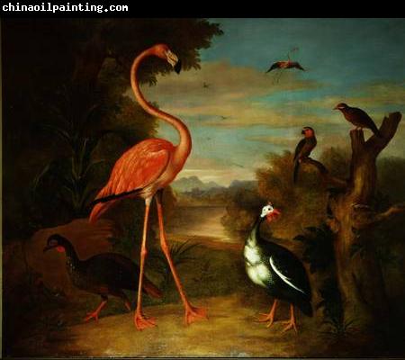 Jakob Bogdani Flamingo and Other Birds in a Landscape