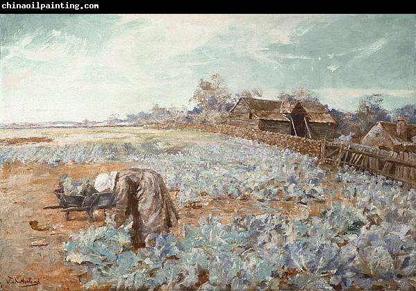 Jane Sutherland A Cabbage Garden