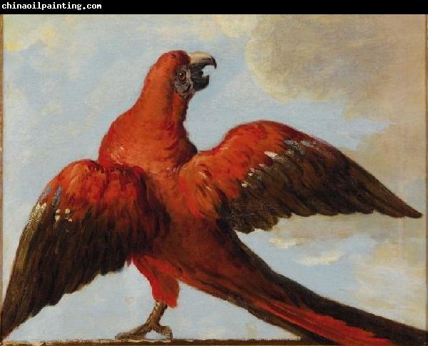 Jean Baptiste Oudry Parrot with Open Wings