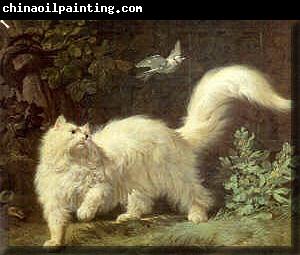 Jean-Jacques Bachelier Un chat Angora