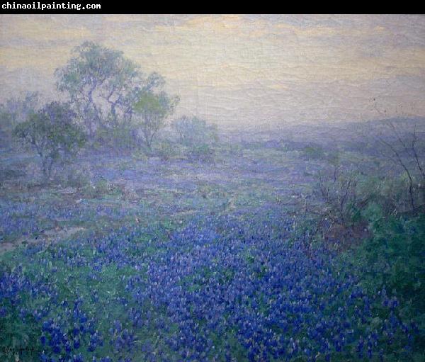 Julian Onderdonk Cloudy Day. Bluebonnets near San Antonio, Texas