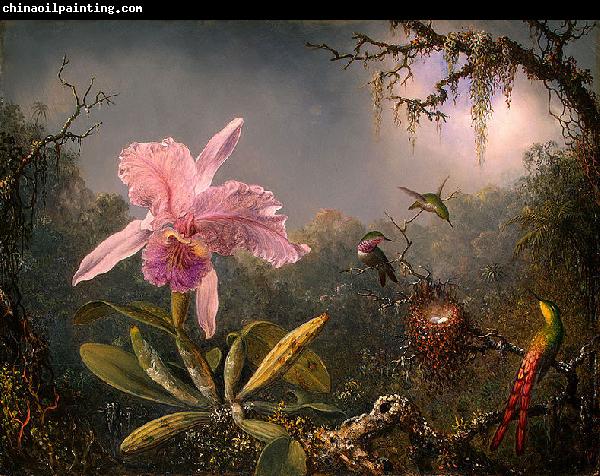 Martin Johnson Heade Cattleya Orchid and Three Brazilian Hummingbirds