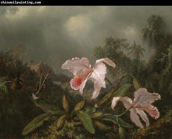 Martin Johnson Heade Jungle Orchids and Hummingbirds