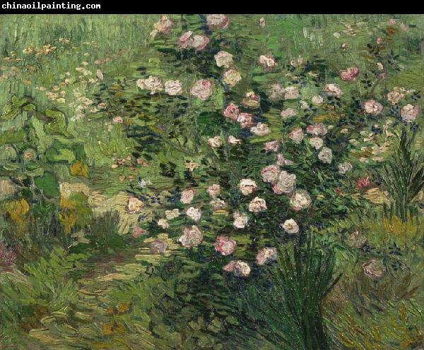 Vincent Van Gogh Roses