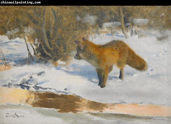 bruno liljefors Winter Landscape with a Fox