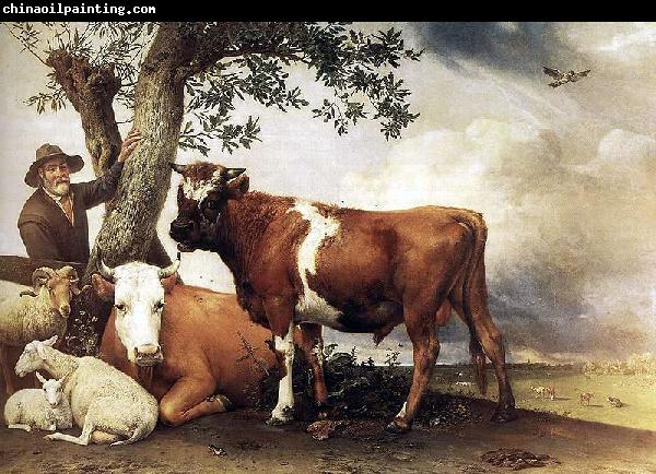 paulus potter The bull.