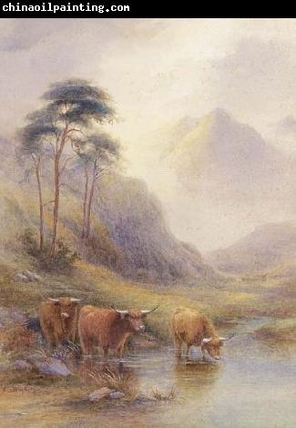 unknow artist Highland cattle in a stream