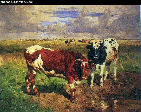 unknow artist Young bulls at a watering place