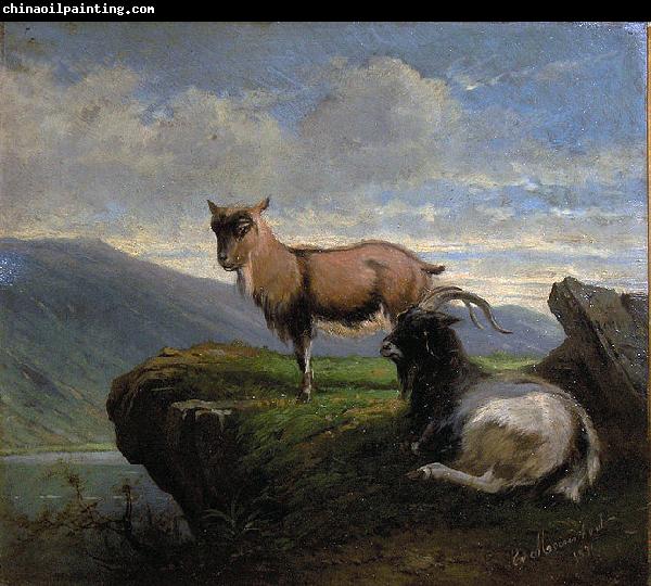 unknow artist Chamois in the mountains