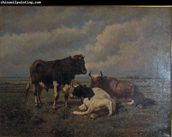 unknow artist Two cows and a bull