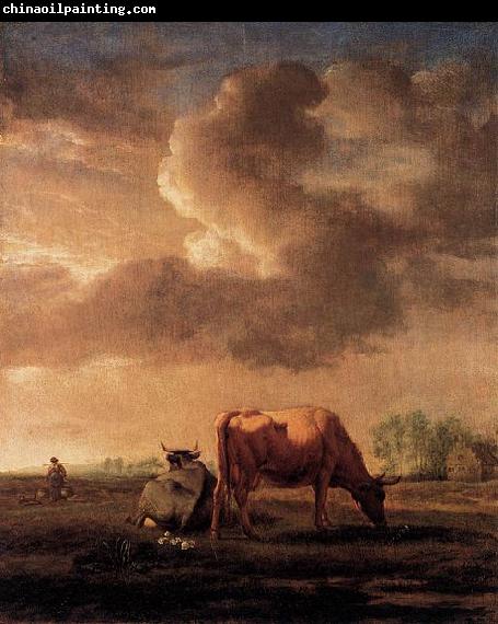 Adriaen van de Velde Cows on a Meadow