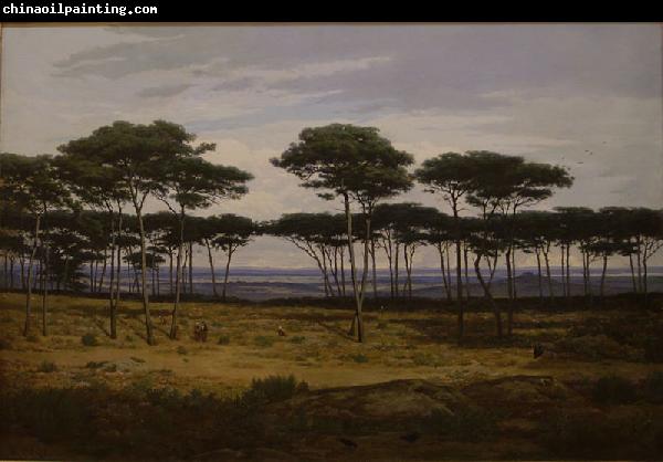 Alexandre N. Roussoff Les pins de Pledeliac