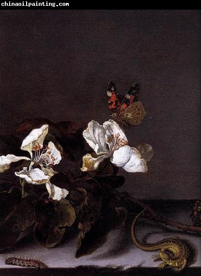 Balthasar van der Ast Still-Life with Apple Blossoms