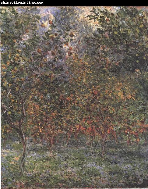 Claude Monet The Lemon Grove in Bordighera