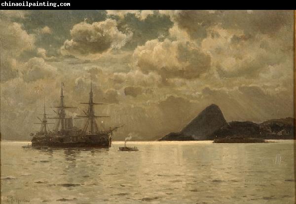 Eduardo de Martino Night View of Rio de Janeiro