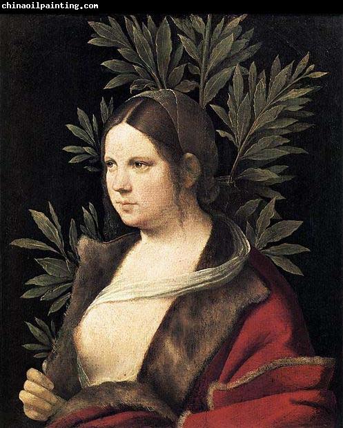 Giorgione Portrait of a Young Woman