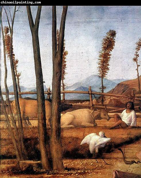 Giovanni Bellini Madonna of the Meadow