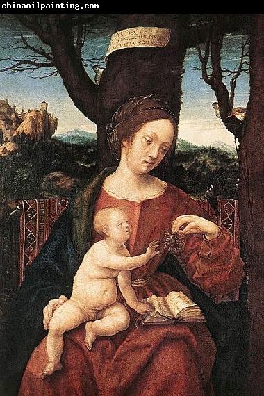 HERRERA, Francisco de, the Elder Madonna with Grape