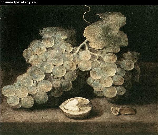 Jacob van Es Grape with Walnut