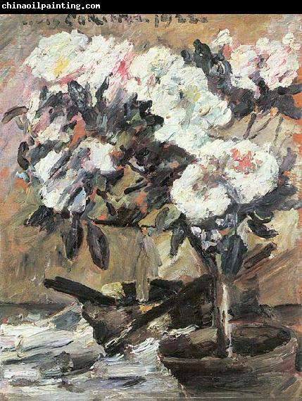 Lovis Corinth Azaleen