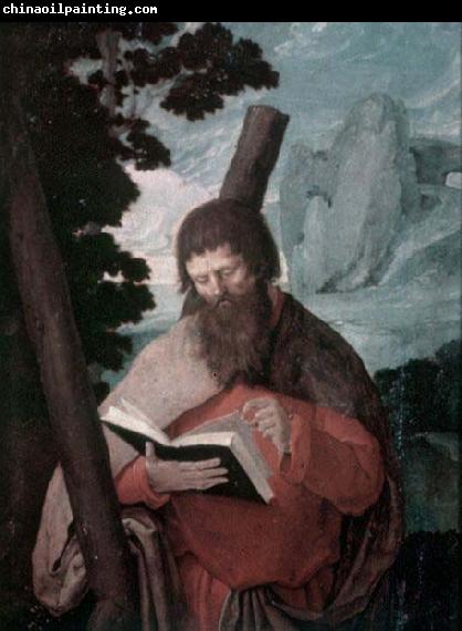 Lucas van Leyden Der heilige Andreas in Halbfigur, vor Landschaft