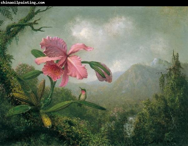 Martin Johnson Heade Orchid and Hummingbird near a Mountain Waterfall