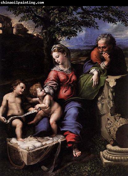 RAFFAELLO Sanzio Holy Family below the Oak