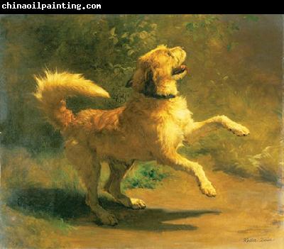 Rudolf Koller Springender Hund