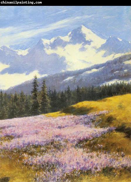 Stanislaw Witkiewicz Crocuses with snowy mountains in the background