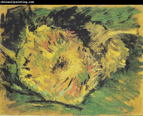 Vincent Van Gogh Two cutted sunflowers