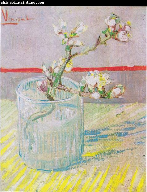 Vincent Van Gogh Flowering almond tree branch in a glass