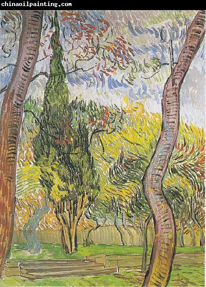 Vincent Van Gogh Garden of the Hospital Saint-Paul