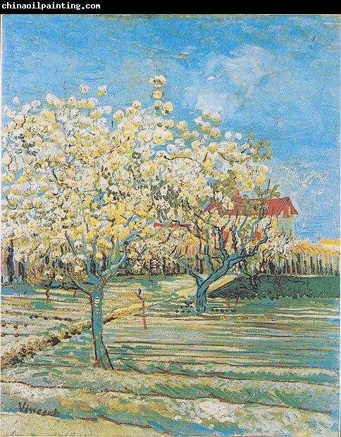 Vincent Van Gogh Flowering orchard