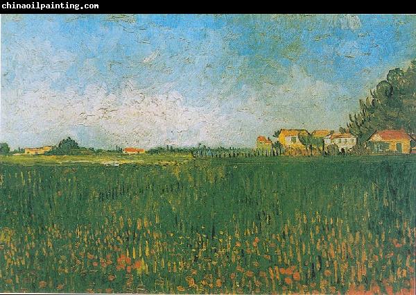 Vincent Van Gogh Farmhouses in a Wheat Field near Arles