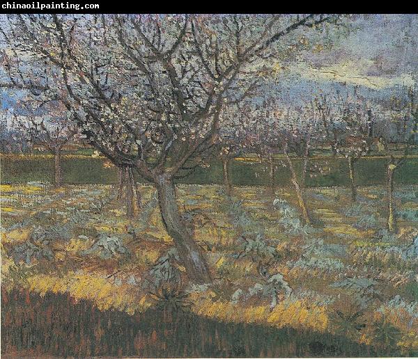 Vincent Van Gogh Flowering orchard with apricot-trees