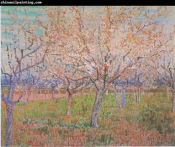 Vincent Van Gogh Orchard with flowering apricot-trees