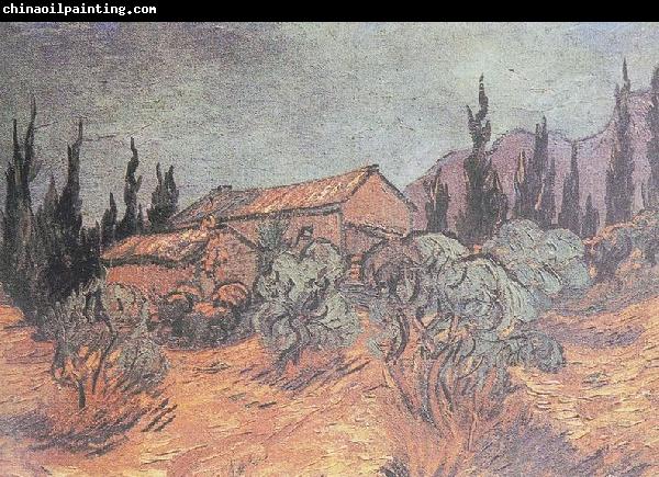 Vincent Van Gogh Huts surrounded by olive trees and cypresses