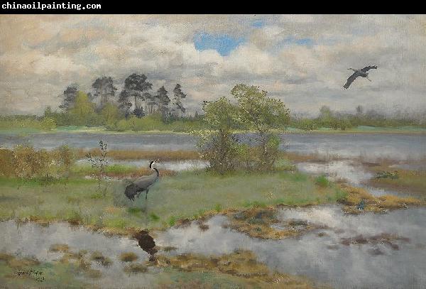 bruno liljefors Landscape With Cranes at the Water