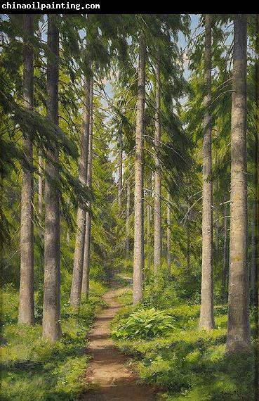 johan krouthen Sunlit forest path