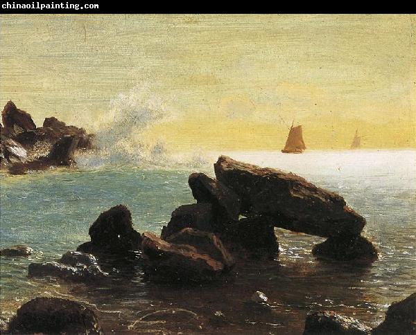 Albert Bierstadt Farallon Islands, off San Francisco in the Pacific, Northern California