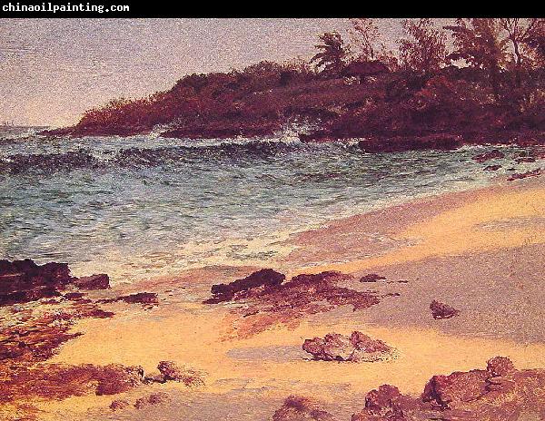 Albert Bierstadt Bahama_Cove