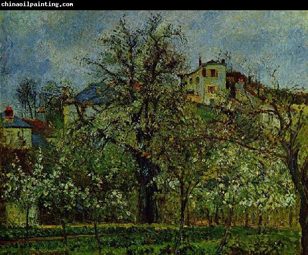 Camille Pissarro Obstgarten mit bluhenden Baumen