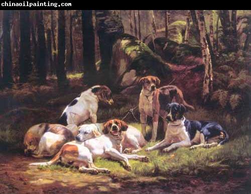 Carlo Saraceni Dogs