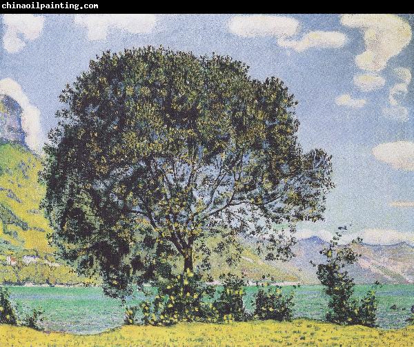 Ferdinand Hodler Baum am Brienzersee vom Bodeli aus