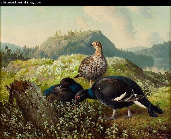 Ferdinand von Wright Black Grouses